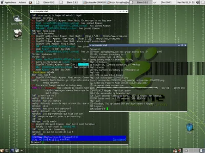 FreeBSD desktop with IRC and terminals, February 2004
